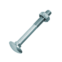 Slotbouten Verzinkt DIN603  + Moer