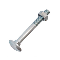 Slotbouten RVS DIN603