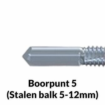 Paneelschroeven BP5 Verzinkt 5,5/6.3x120mm 19mm ring RAL 9005 ZWART - 100 stuks