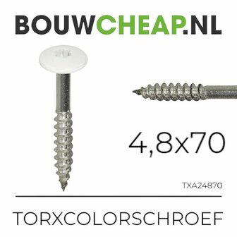 RVS TorxColorschroef 4.8x70mm tbv HPL-plaat en Trespa&reg; (100st)