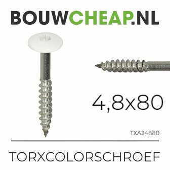 RVS Torxcolorschroef 4,8x80 tbv HPL en Trespa&reg; (100 st)