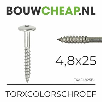 RVS Torxcolorschroef 4,8x25 blank tbv HPL en Trespa&reg; (100 st)