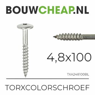 RVS Torxcolorschroef 4,8x100 blank tbv HPL en Trespa&reg; (100 st)