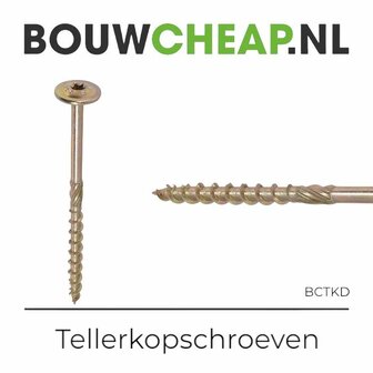 Tellerkopschroeven 6x60 mm (100 st.)