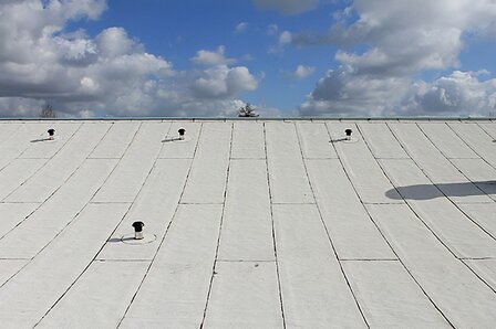 Dakleer (Bitumen) - Quadra &ndash;  6 Meter &ndash; witte leislag &ndash; B keus