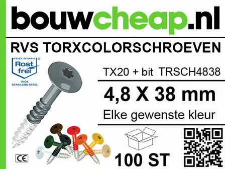 Zilvergrijze RVS Torx-schroeven met TX20-bit, verkrijgbaar in diverse kleuren, verpakt in een doos van 100 stuks.
