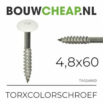 Witte torx schroef met schroefdraad, 4,8 mm breed en 60 mm lang, naast metallic schroef met gestructureerde punt.