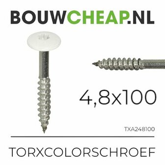 Witte torx-schroef met een lange, ge&euml;ngageerde schacht en scherpe schroefdraad, naast een detail van de kop.