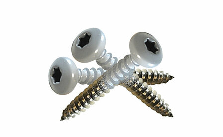 Twee kruiskopschroeven met witte kop en verzinkte, metalen schacht, gekruist gelegd op een lichte achtergrond.