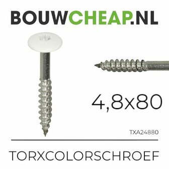 Witte torxschroef met metalen schacht, afmetingen 4,8x80 mm, zichtbaar met scherpe punt en schroefdraad.