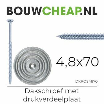 Dakschoef met drukverdeelplaat, verzinkt, met een schroef en een ronde schijf ernaast, allebei op een witte achtergrond.