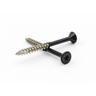 Twee schroeven, &eacute;&eacute;n verzinkt met metalen glans en &eacute;&eacute;n zwart, met een stervormige uitsparing aan de bovenkant.