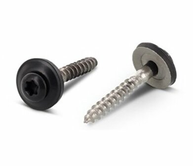 Twee schroeven met zwarte kop en schroefdraad, &eacute;&eacute;n met een rubberen ring en de ander met een metalen schacht.