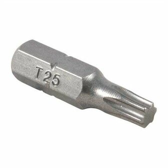 Glanzende metalen torxbit van T25 met scherpe punten en een compacte, cilindrische vorm. Ideaal voor schroevendraaiers.