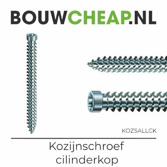 RVS kozijnschroef met een cilinderkop en scherpe schroefdraad, zichtbaar in twee hoeken, lichte reflectie op het metaal.
