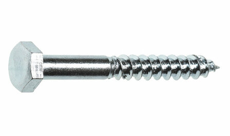 Glanzende metalen schroef met een zeshoekige kop en herkenbare schroefdraad, ideaal voor constructietoepassingen.