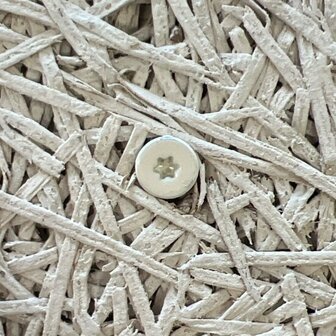 Een witte schroef met een stervormige inkeping ligt op een lichtgekleurde, vezelige ondergrond.