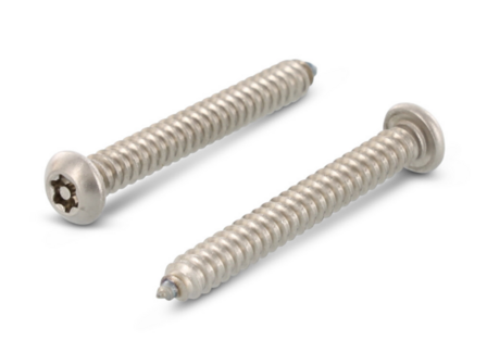 HPL Veiligheidsschroeven Torx-Pin 25 - RVS-A2 - 4,8x25mm - In uw Ral Kleur