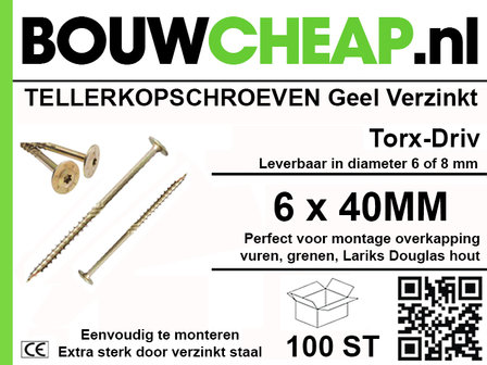 Tellerkopschroeven 6x40 mm (100 st.)