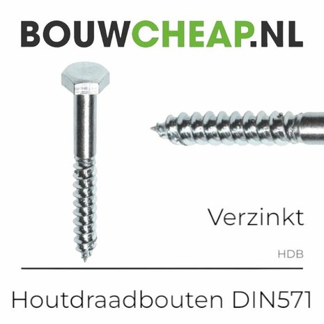 Houtdraadbout verzinkt 10x50mm - 100 stuks