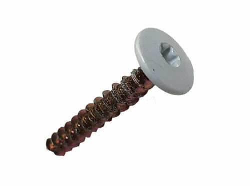 Zilverkleurige schroef met een ronde kop en een witte verzonken schroefkop, met grove schroefdraad en een glanzende afwerking.