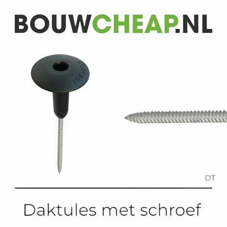Zwarte schroef met brede kop op een witte achtergrond, met de tekst "Daktules met schroef" erboven.