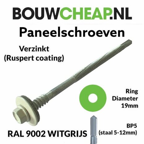 Zilverkleurige verzinkte paneelschroef met een ring en een hexagonale kop, diamater van 19 mm. Informatie over specificaties en coating.