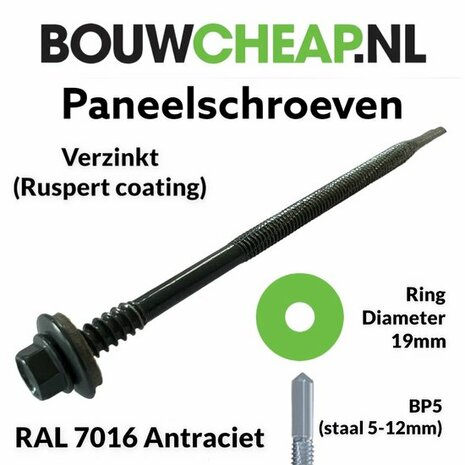 Zilveren panelenschroef met zwarte kop, ringdiameter van 19 mm en scherpe punt, geschikt voor diverse toepassingen.