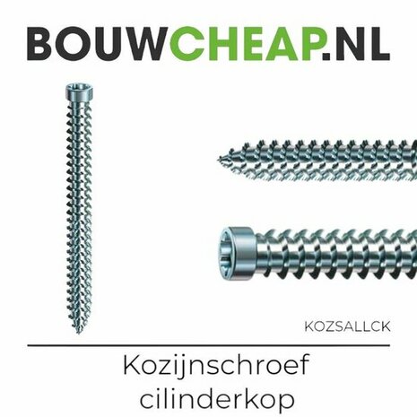 RVS kozijnschroef met een cilinderkop en scherpe schroefdraad, zichtbaar in twee hoeken, lichte reflectie op het metaal.