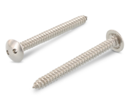 HPL Veiligheidsschroeven Snake Eye - RVS-A2 - 4,8x25mm - In uw Ral Kleur