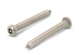 HPL Veiligheidsschroeven Torx-Pin 25 - RVS-A2 - 4,8x38mm - In uw Ral Kleur