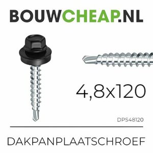 Zwarte dakpanplaatschroef met metalen schacht, lengte 120 mm en dikte 4,8 mm, met een brede kop.